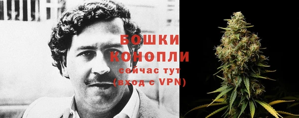 PSILOCYBIN Зерноград