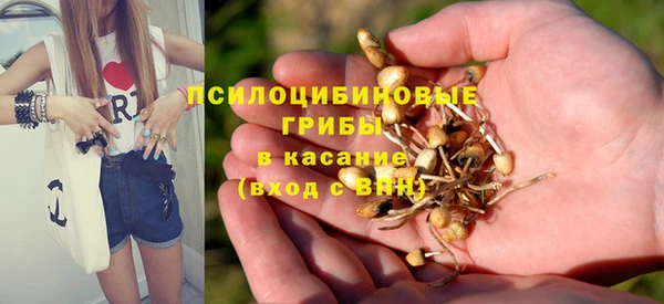 каннабис Заводоуковск